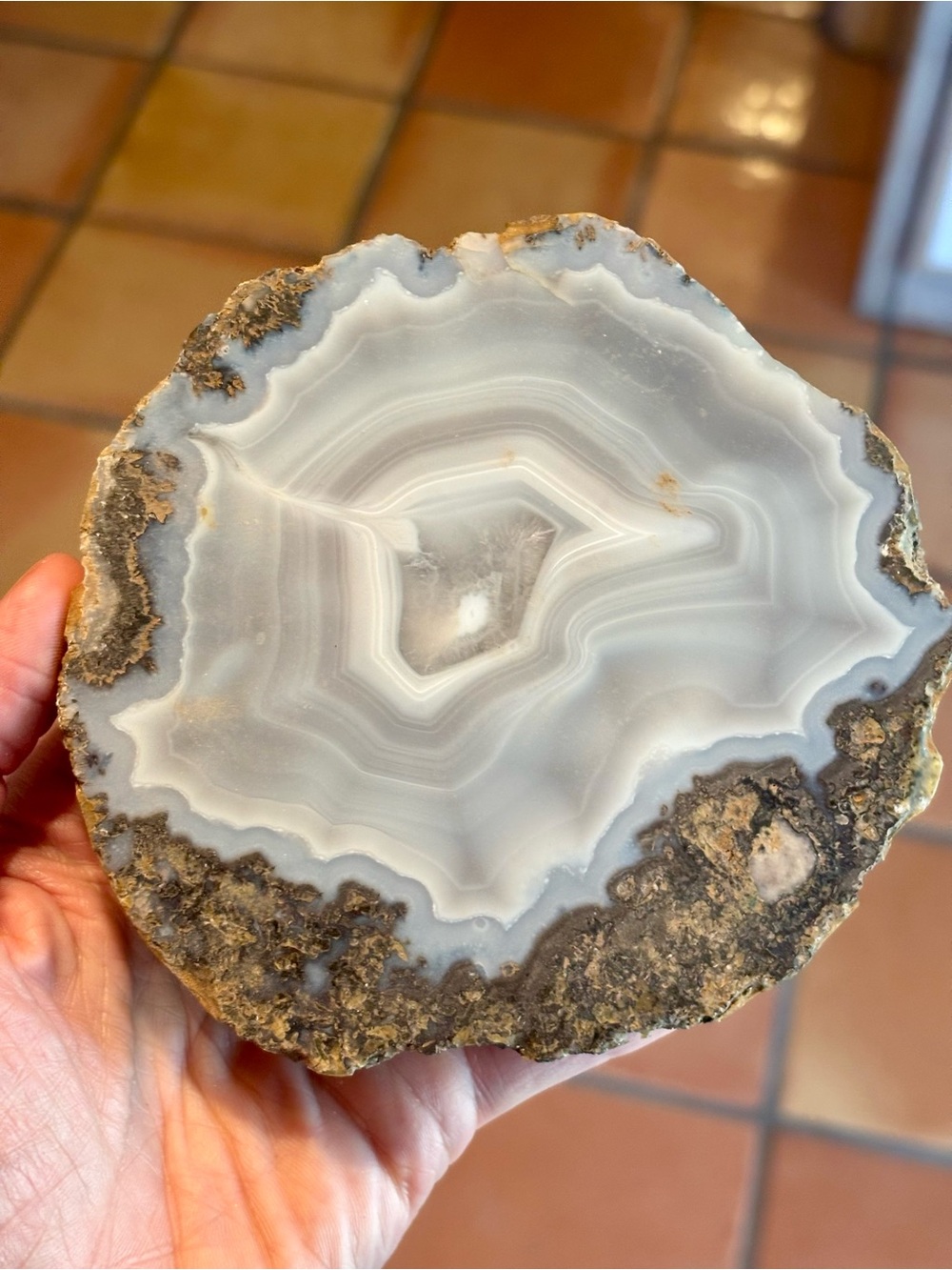 Natural Banded Agate Slab – Polished Display Specimen with Raw Edge 700g